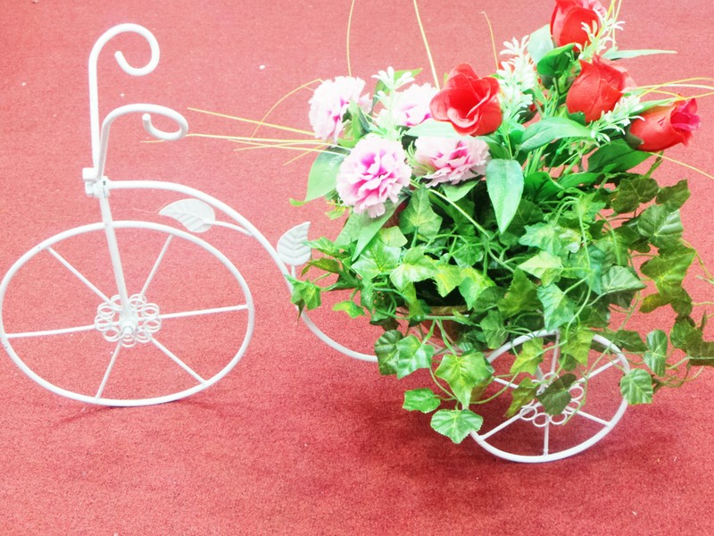 Lower Garden Decorative Cycle with back Basket